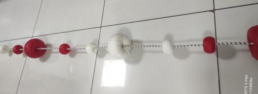 cankurtaran pakur duba